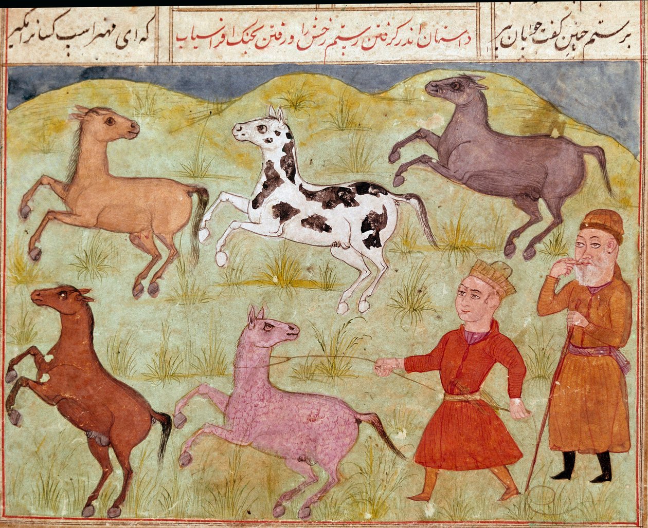 Iszlám művészet: Egy lord és tanyasi fiúja vadlovakat fog be lasszóban. Perzsa miniatűr a „Shahnameh” című epikus költemény kéziratából (Shah Nama, Shahnama) (Királyok könyve), Ferdowsi (Firdawsi vagy Ferdawsi vagy Firdousi, kb. 940-1020 körül) Biblioteca  alkotó: School Persian