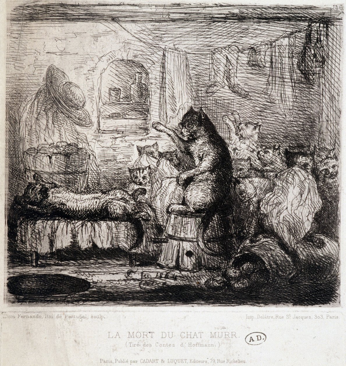 Murr macska halála (Hoffmann meséiből) – Rajz, Portugália alkotó: School Portuguese
