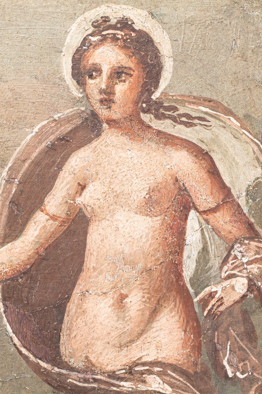  alkotó: School Roman