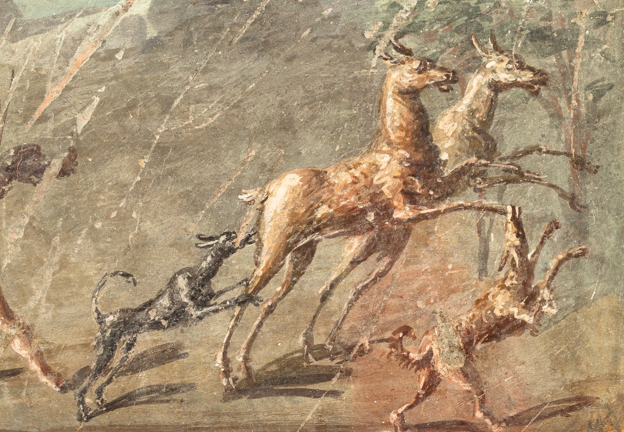  alkotó: School Roman