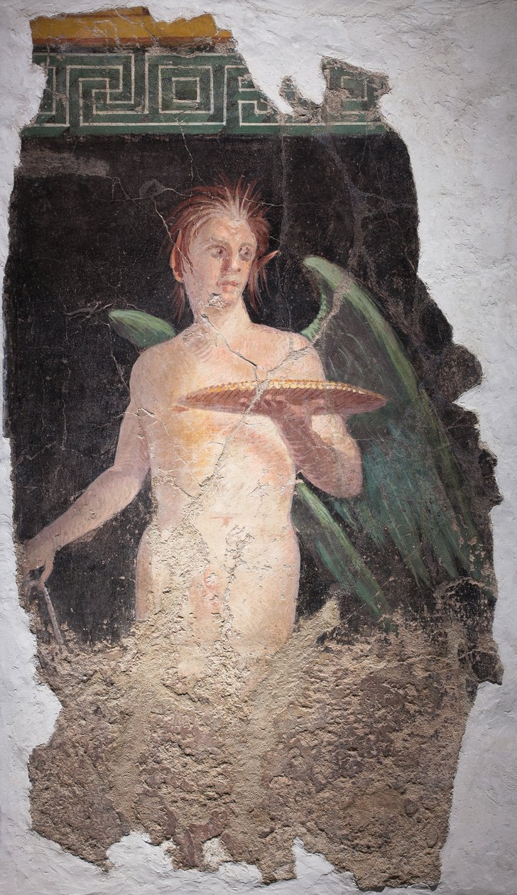  alkotó: School Roman