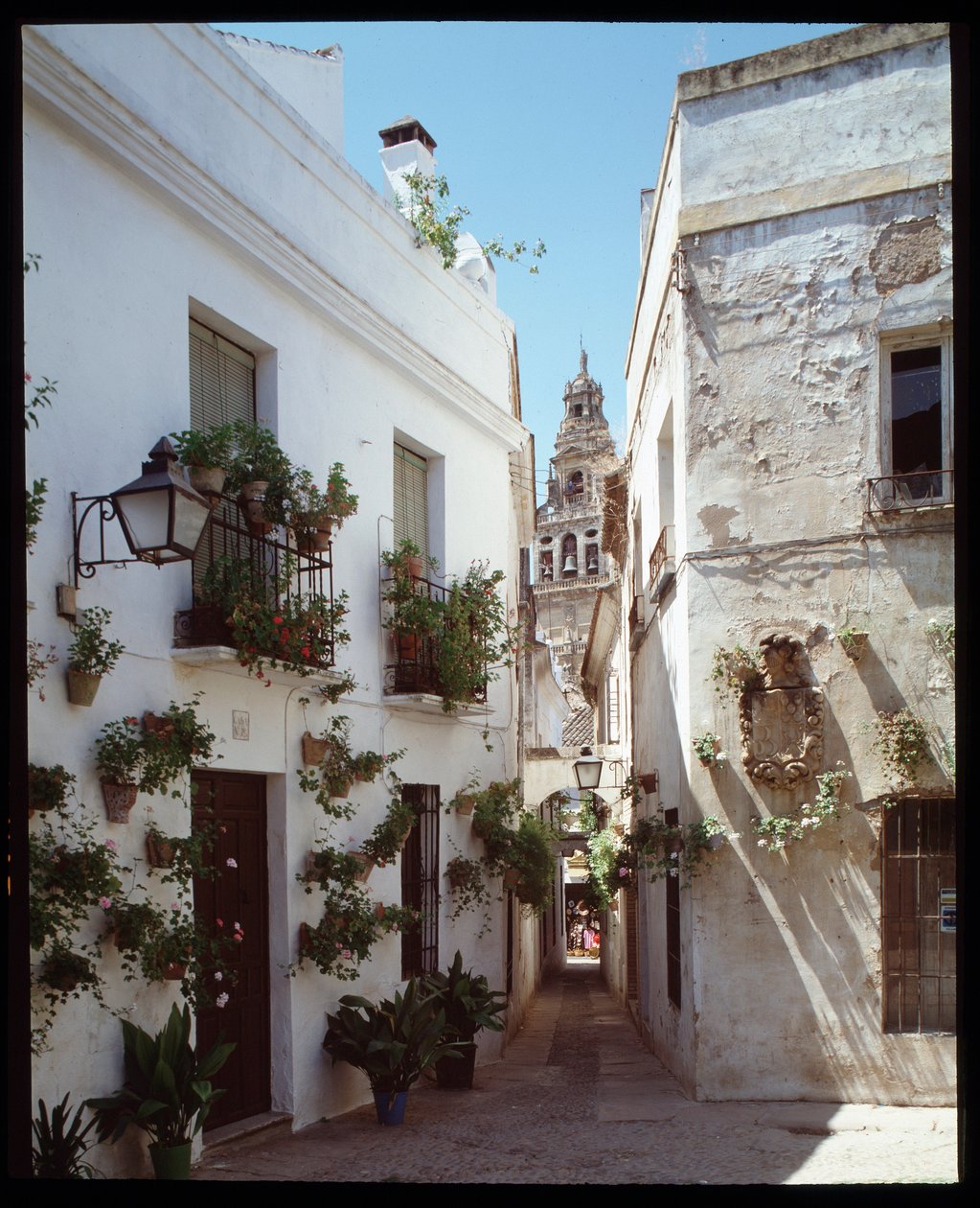 Kilátás az Omayyades Nagy Mecset (Mezquita), ma katedrális minaretjére (harangtoronyra) a Calle de los flores”””-ról, Cordoba Spain”” (Cordobai mecset katedrális (Nagy mecset) harangtornya vagy minaretje a Calle de los flores utcából alkotó: School Spanish