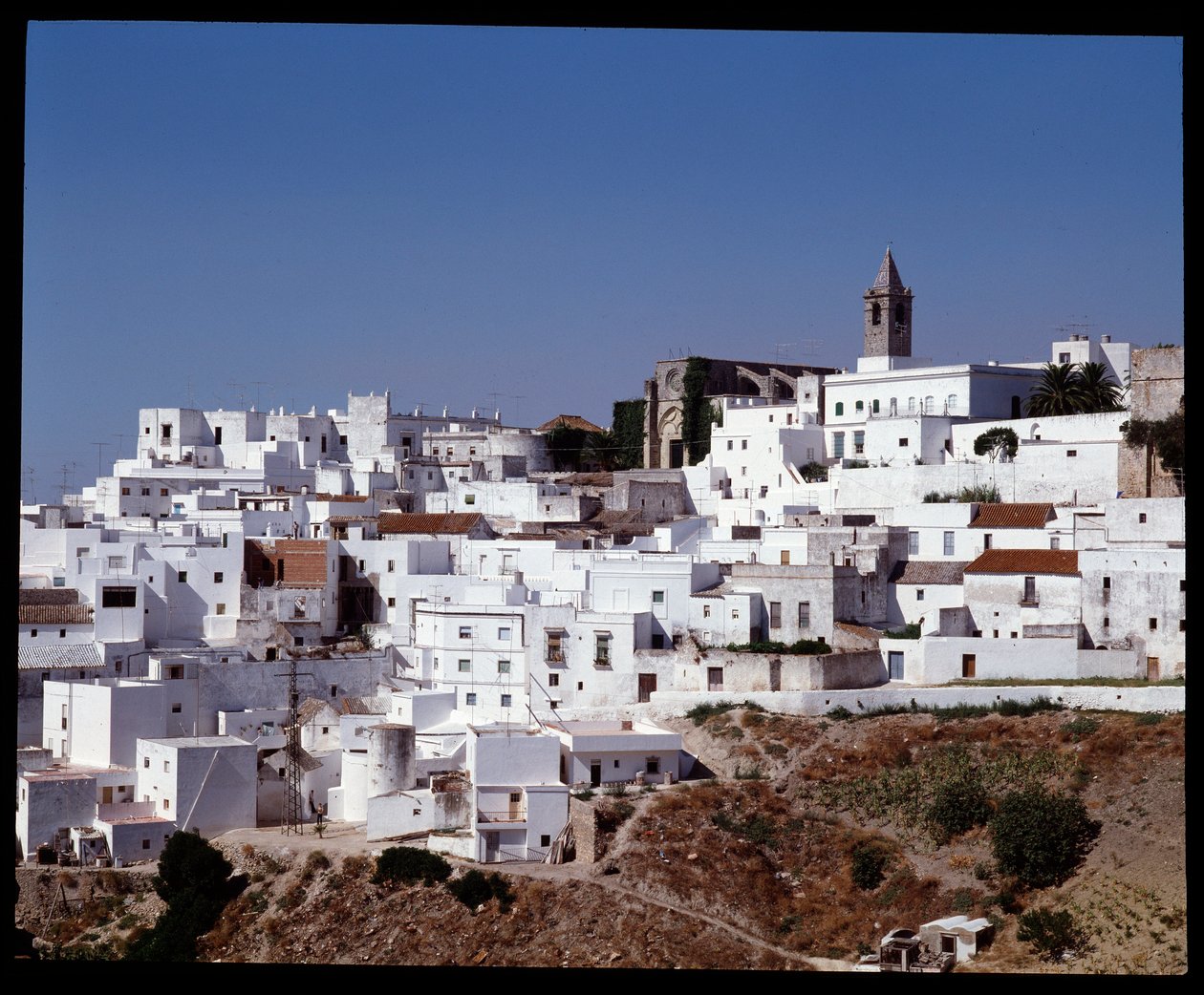 Kilátás a Vejer de la Frontera-ra, Andalúzia, Spanyolország alkotó: School Spanish