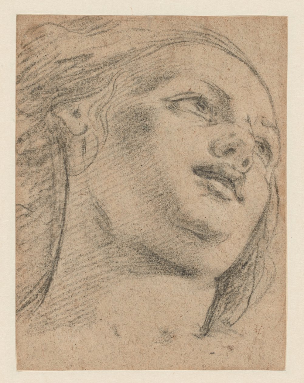 Női fej vizsgálat jobbra felnézve (recto); Egy tárgyat alátámasztó két alak tanulmányozása (fordítva) alkotó: School of Guido Reni