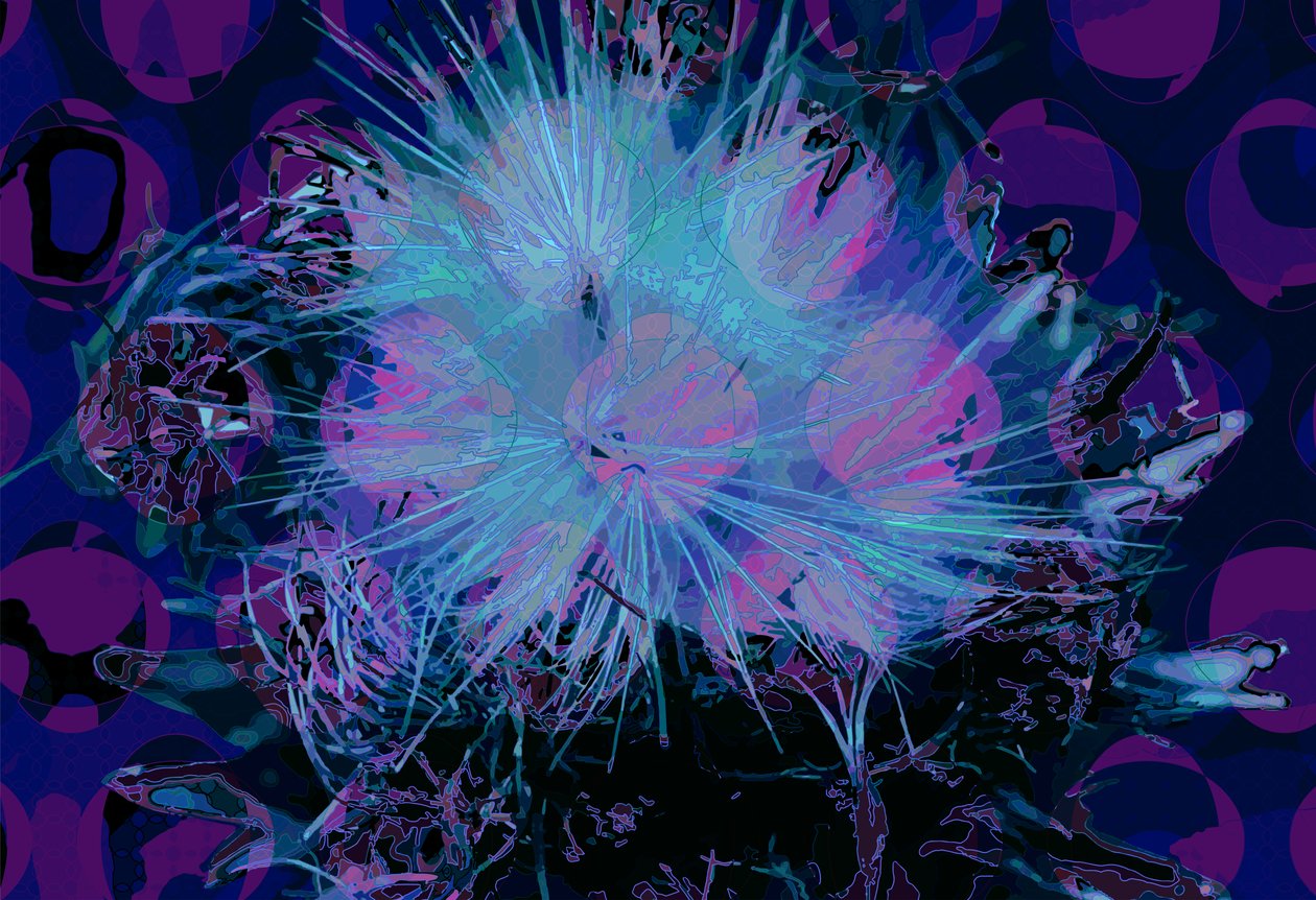 Articsóka (digitális) alkotó: Scott J. Davis