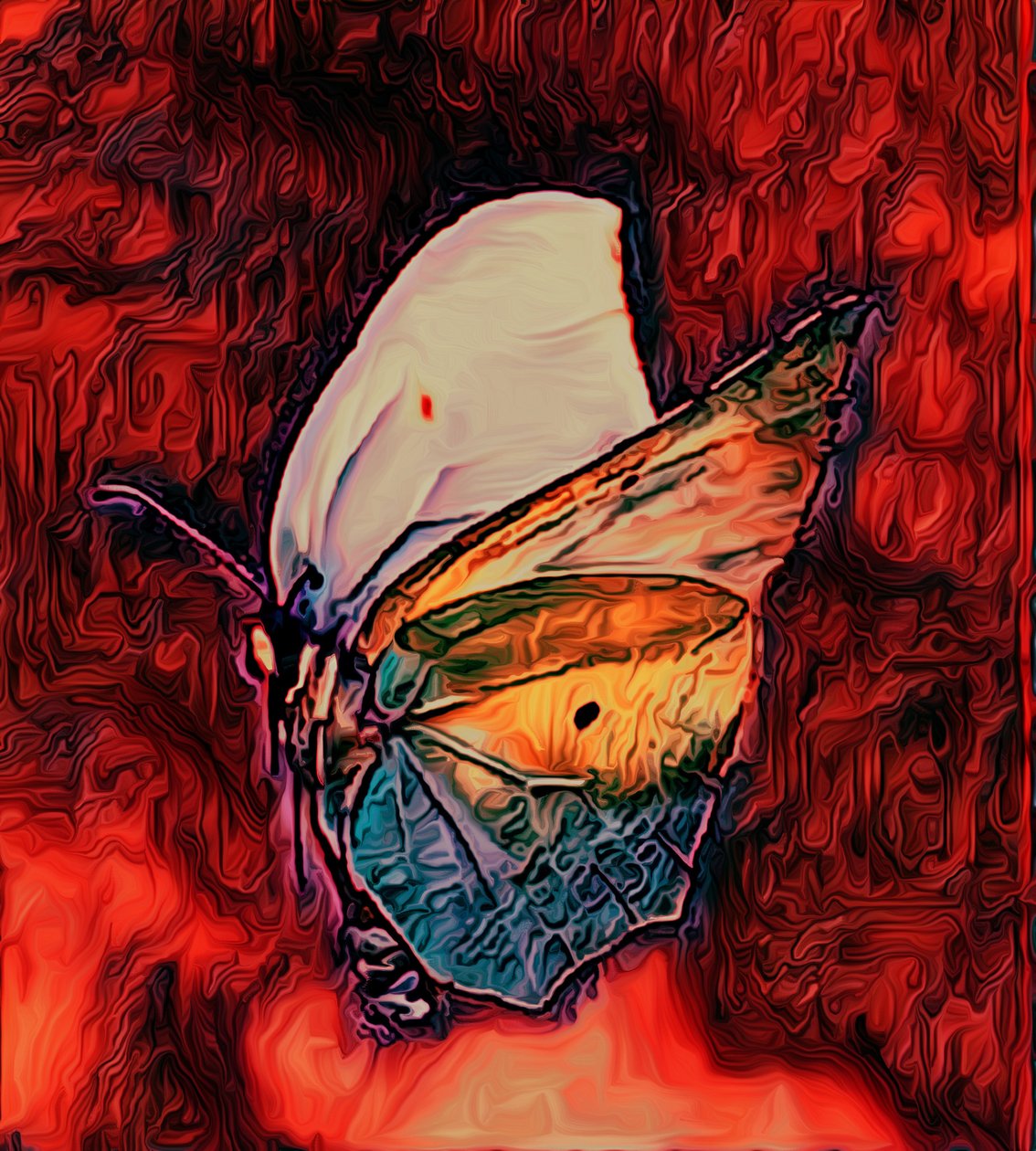 Pillangó, 2021 alkotó: Scott J. Davis