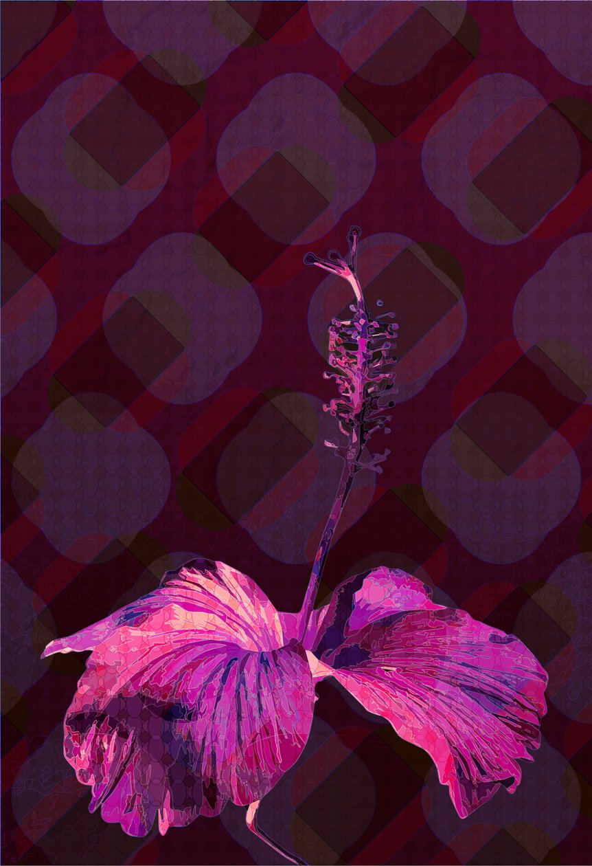 Hibiszkusz 3, 2019 alkotó: Scott J. Davis