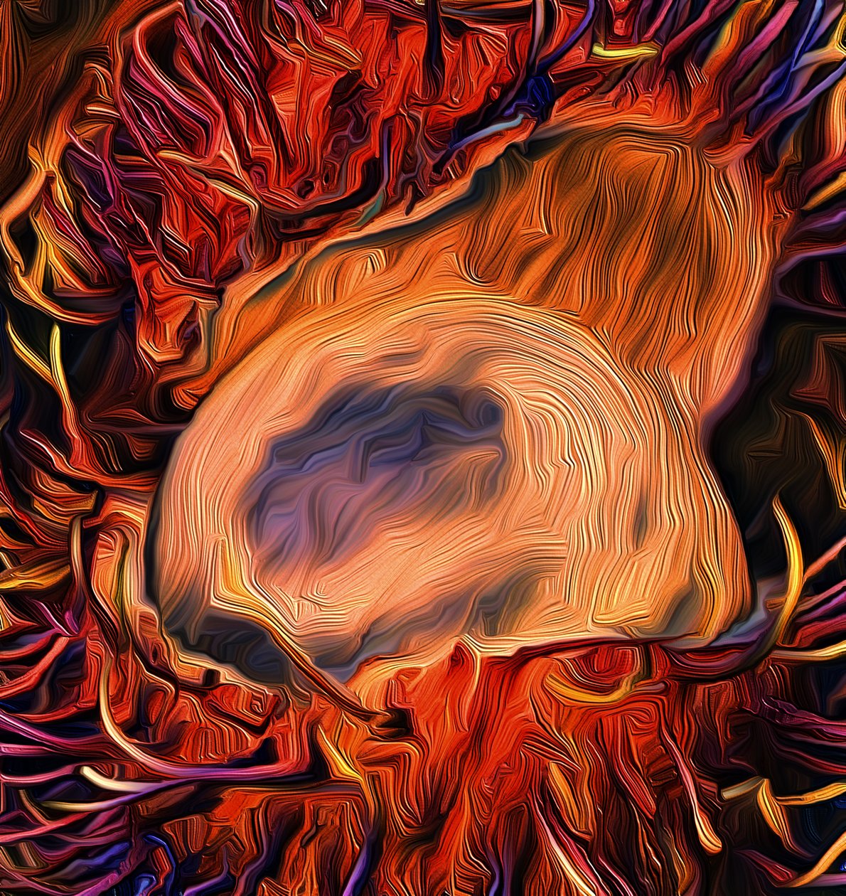 Hurricane, 2021 (digitális) alkotó: Scott J. Davis