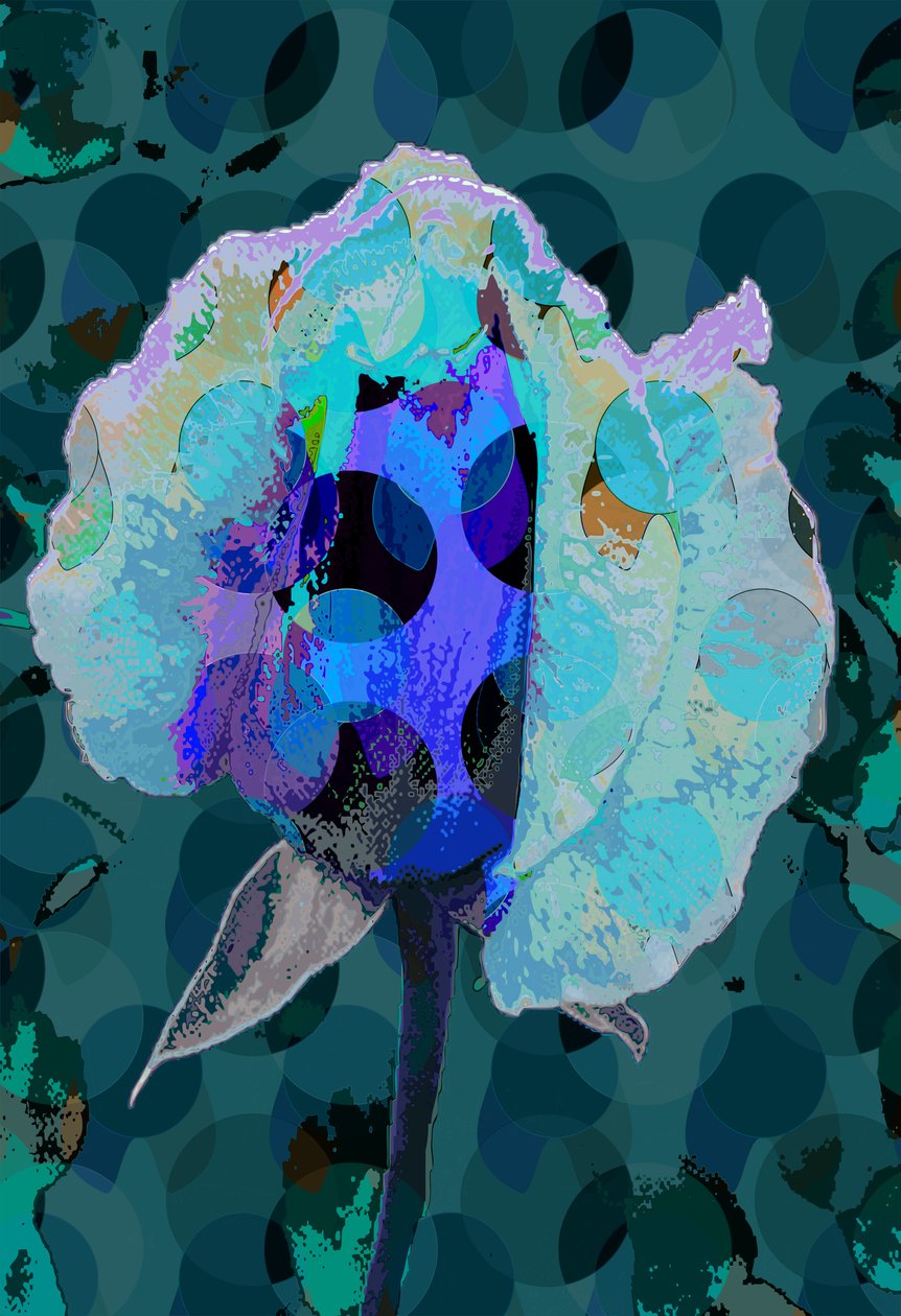 Tea Rose 5B (digitális) alkotó: Scott J. Davis
