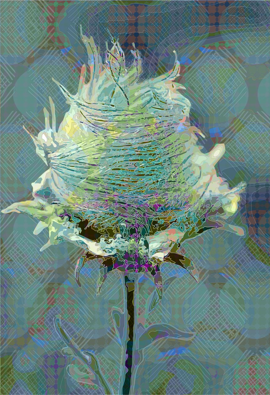Wood Avens3, 2019 alkotó: Scott J. Davis