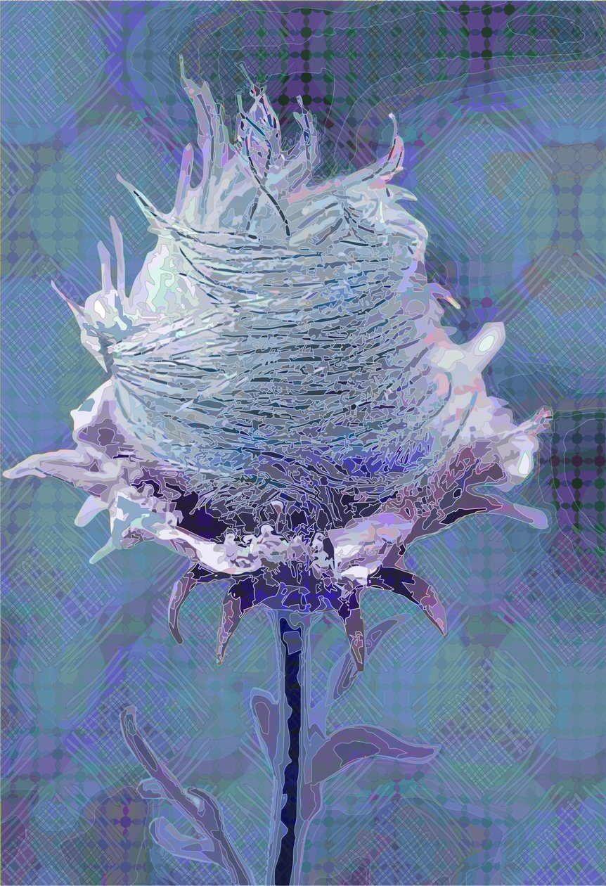 Wood Avens4, 2019 alkotó: Scott J. Davis