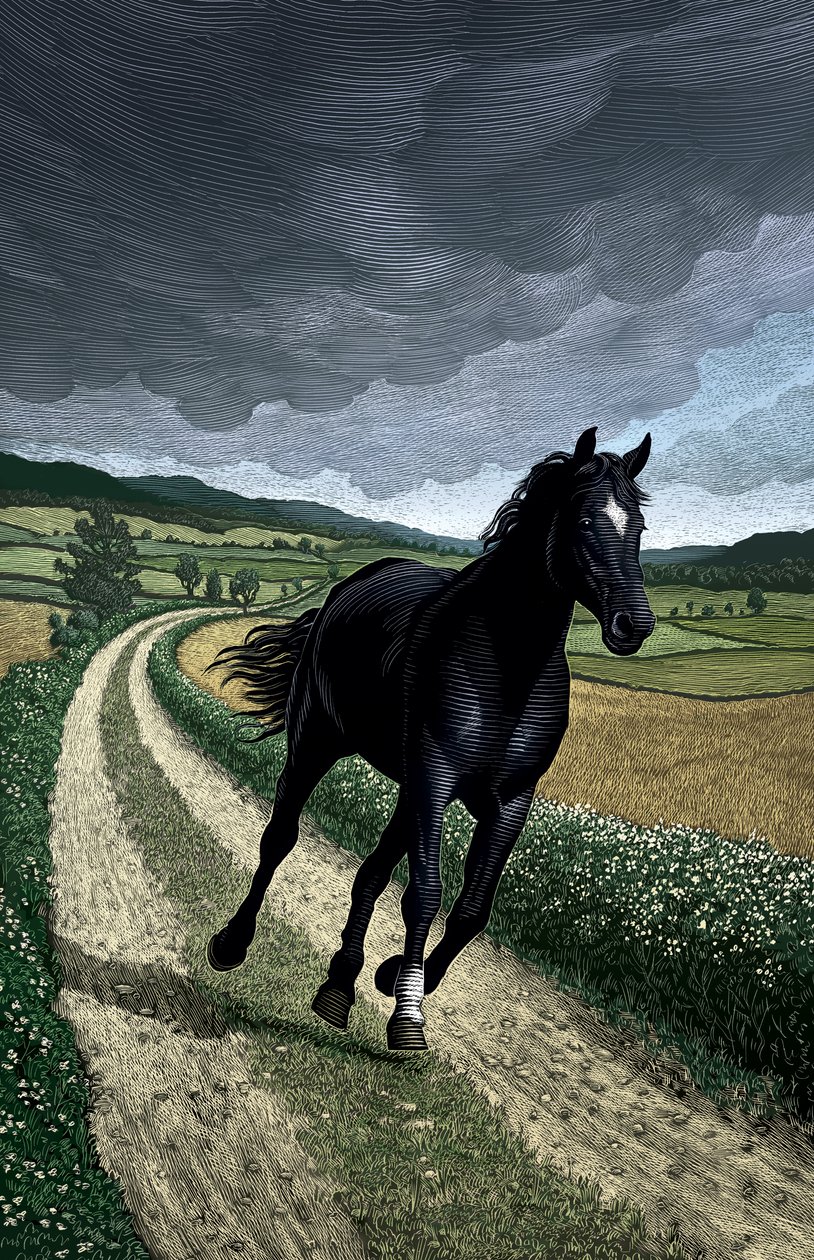 Fekete szépség, 2004 (scratchboard, digitálisan színezve) alkotó: Scott McKowen