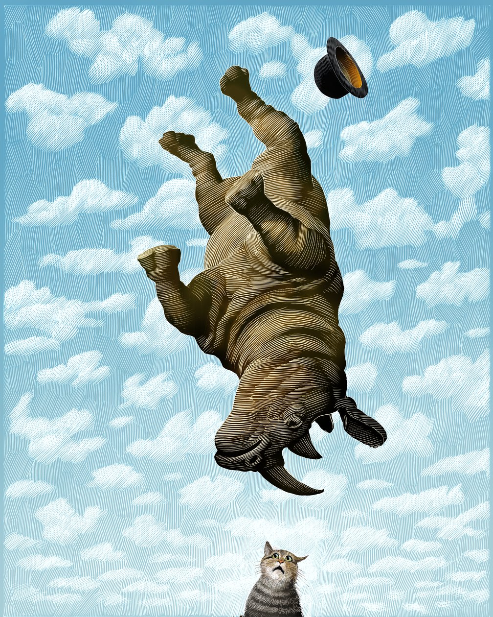 Rhinoceros, 2019 (scratchboard, digitálisan színezve) alkotó: Scott McKowen