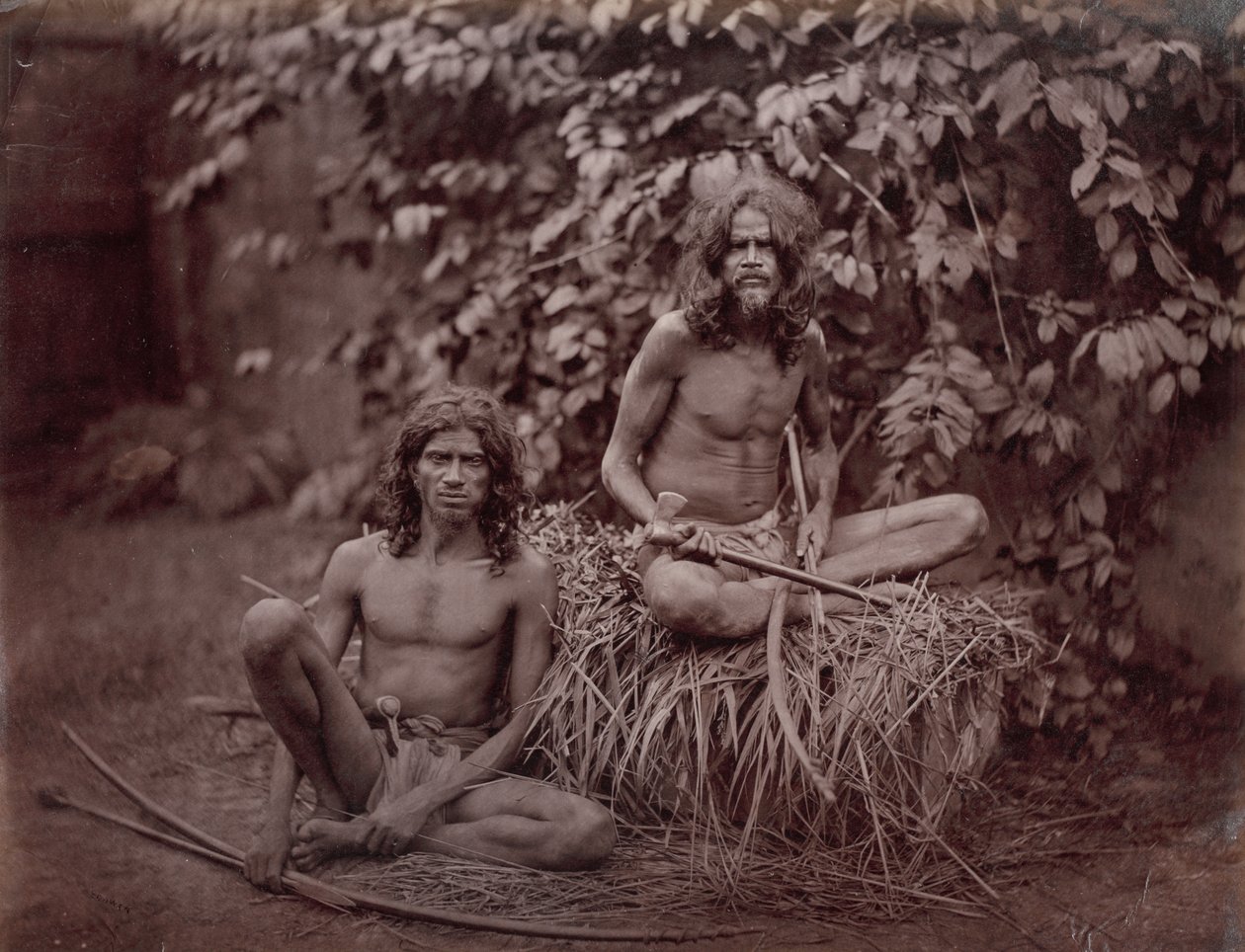 Ceylon védái alkotó: Scowen and Co.