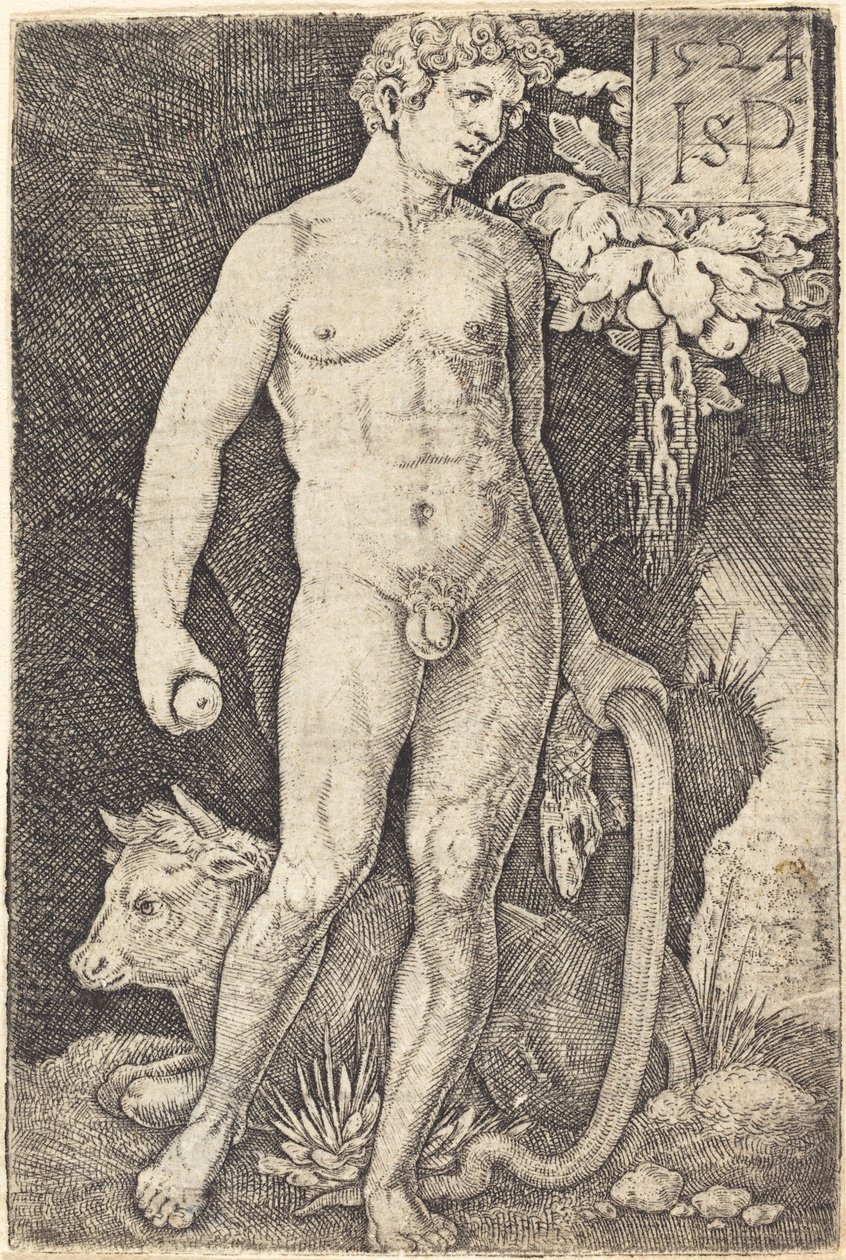 Ádám állva alkotó: Sebald Beham