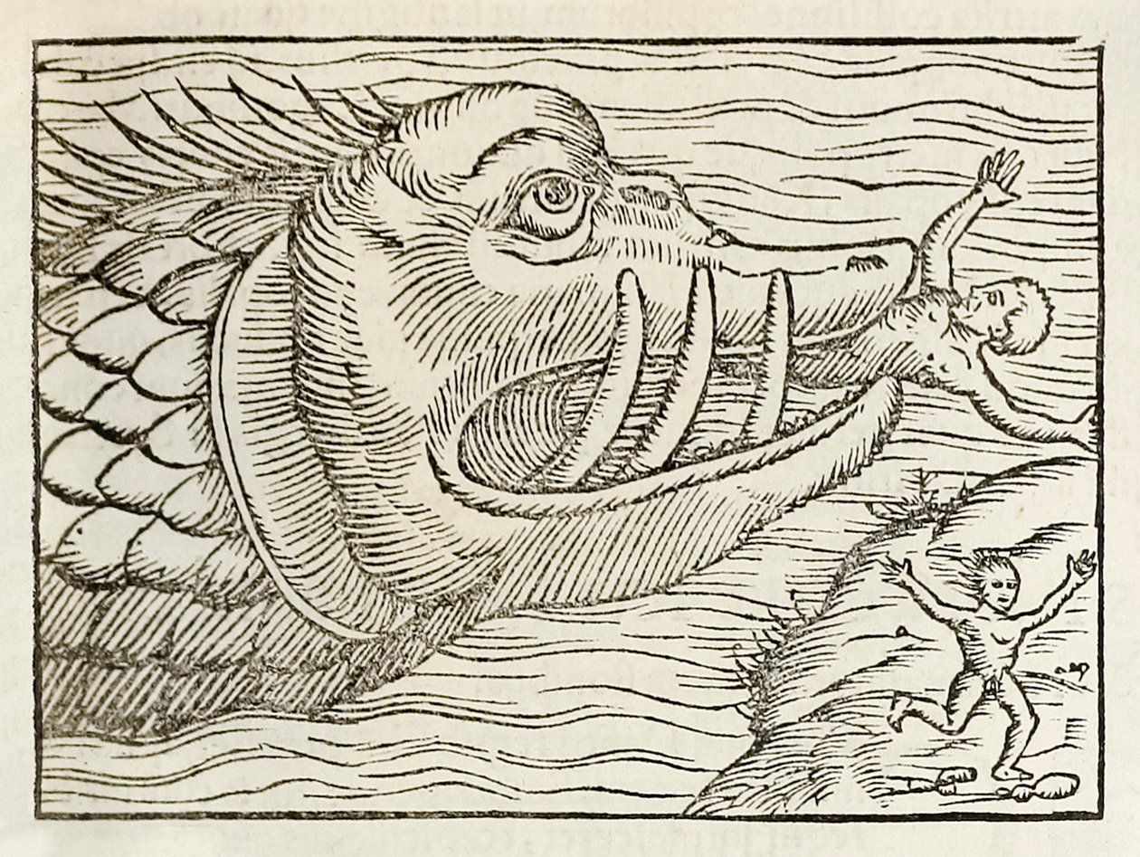 Az embereket felfaló szörnyű bálna, Sebastian Munster Cosmographia 1550-es kiadásából alkotó: Sebastian Munster