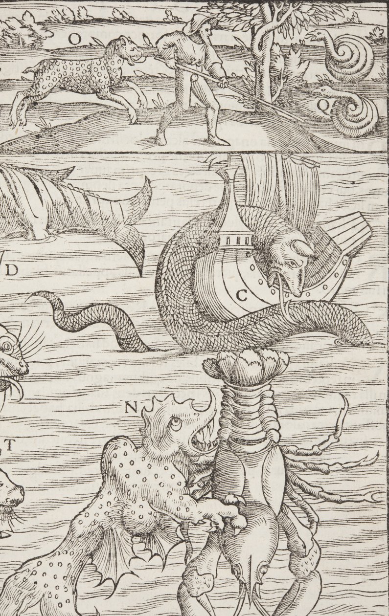 Cosmographia, Fol 853, 1544 alkotó: Sebastian Munster