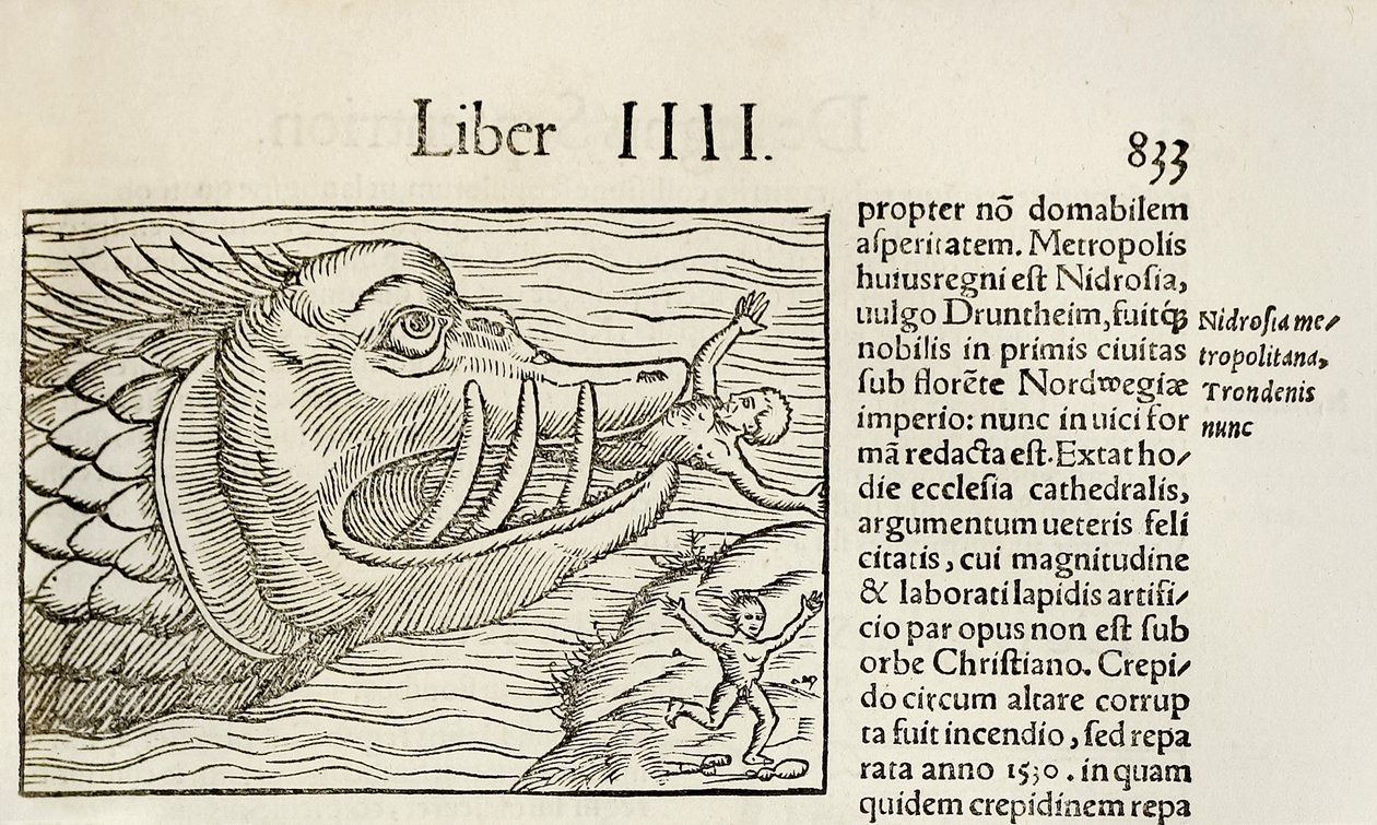 Az embereket felfaló szörnyű bálnák Sebastian Munster Cosmographiájának 1550-es kiadásából (fametszet) alkotó: Sebastian Munster