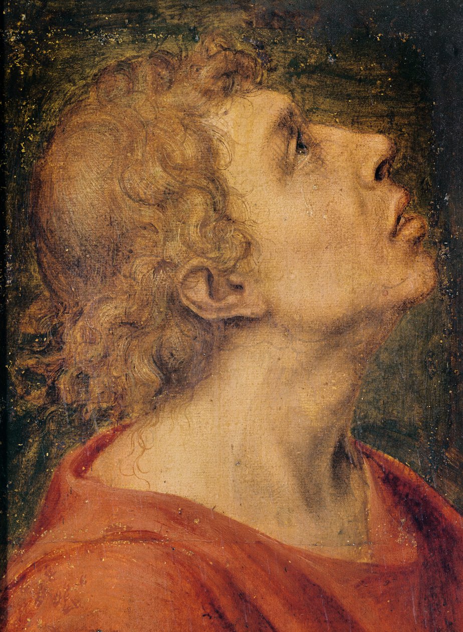 Evangélista Szent János (olaj, fa) alkotó: Sebastiano del Piombo