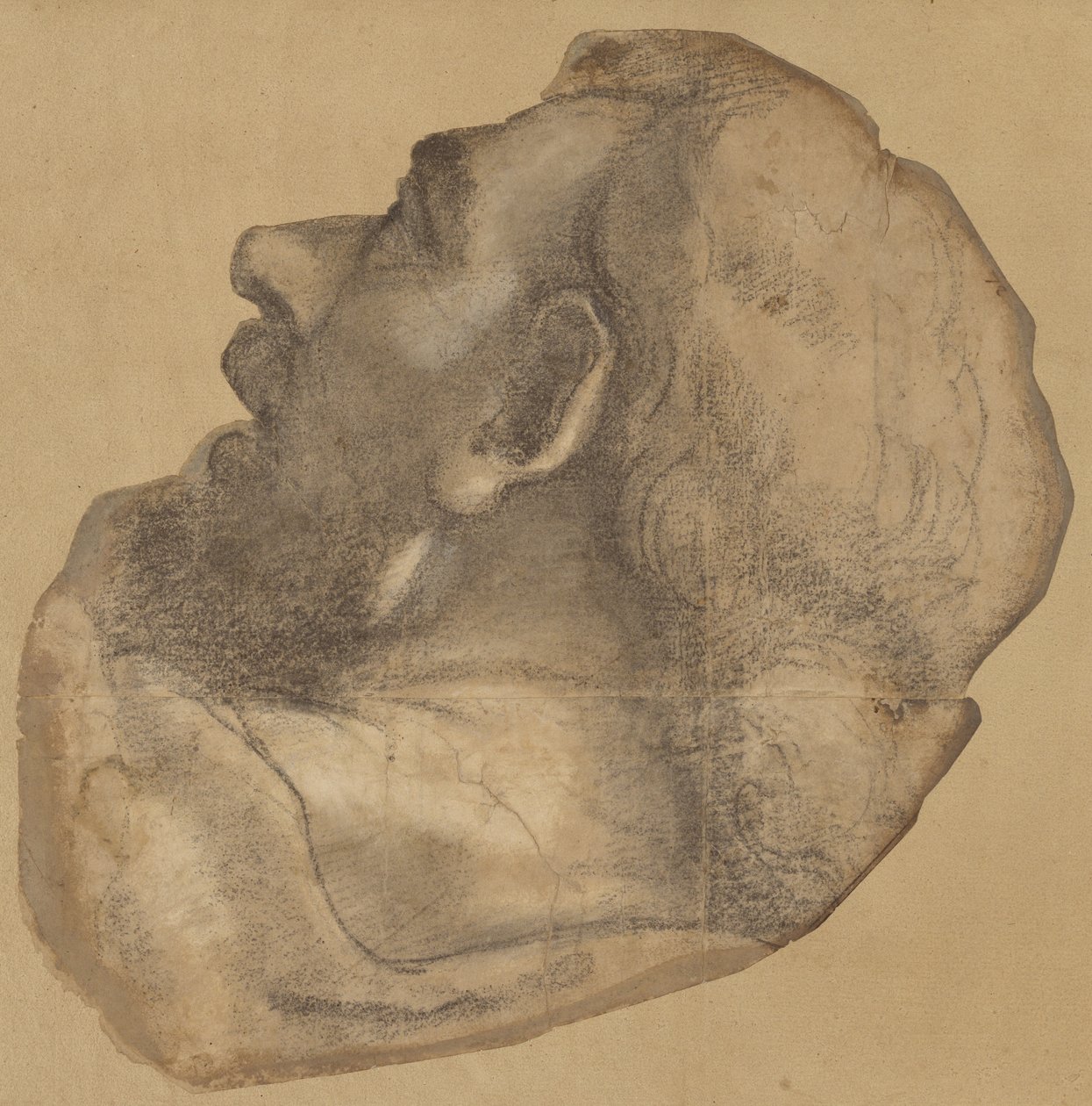 Karikatúra Szent Jakab fejéről alkotó: Sebastiano del Piombo
