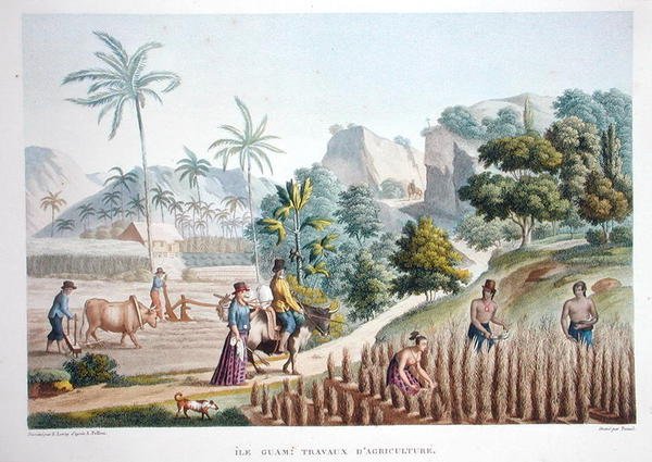Mezőgazdasági munkások, Guam, Fülöp-szigetek, Louis Claude Desaulses de Freycinet (1779-1842) "Voyage Autour du Monde (1817-20)" című, Pomel által metszett és 1822-24-ben kiadott művéből (színes litográfia). alkotó: Sebastien (d.1832) (after) Leroy