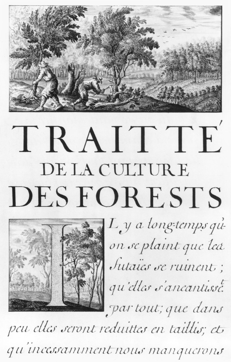 Ms 260 IV. tome. A „Traite de la Culture des Forets” frontispiece a „M. Vauban Oisivetes” című művéből, amely több memoires ou Ramas de sa way-t tartalmaz. alkotó: Sebastien Le Prestre de Vauban