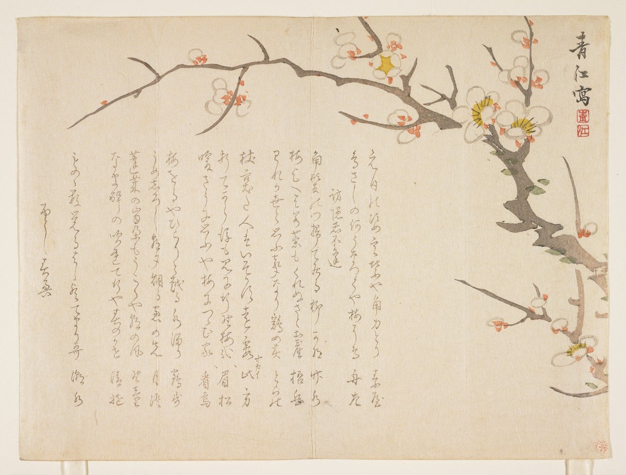 Virágzó szilva, 1837. január (színes fanyomat) alkotó: Seik Hashimoto
