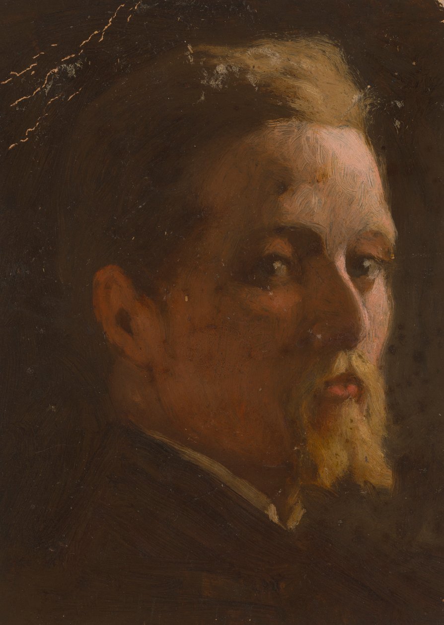 Egy férfi portréja alkotó: Severin Falkman