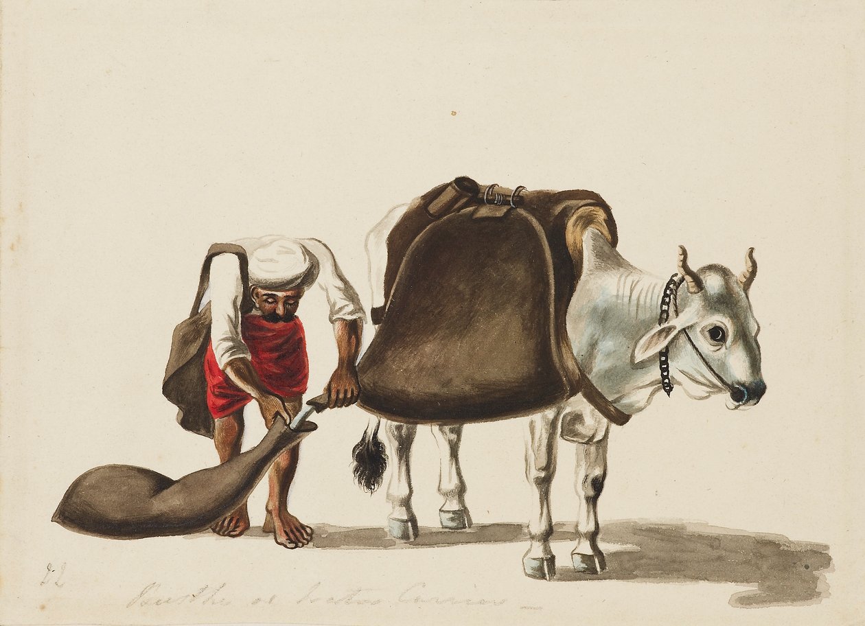 Vízhordozó, c1810 alkotó: Sewak Ram