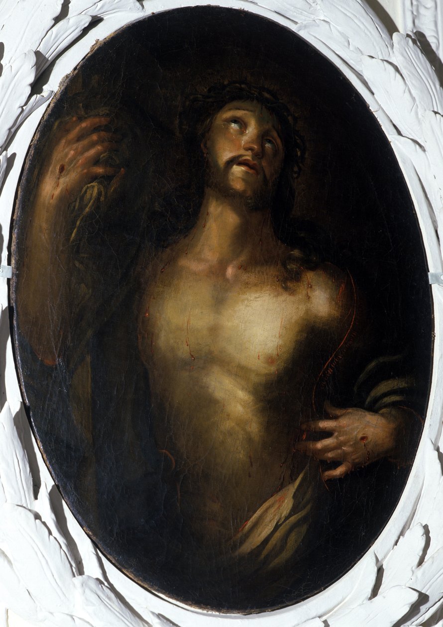 A szenvedély alkotó: Seyfried Lammers