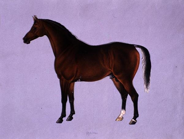 Oppidan, 1840 körül (akvarell papíron) alkotó: Shaik Muhammad Amir of Karraya