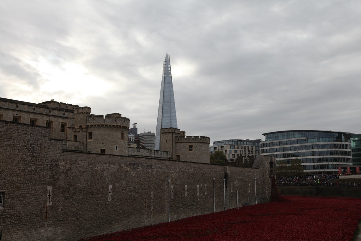 Blood Swept Lands and Seas of Red, Tower of London, 2014. alkotó: Sheldon Marshall