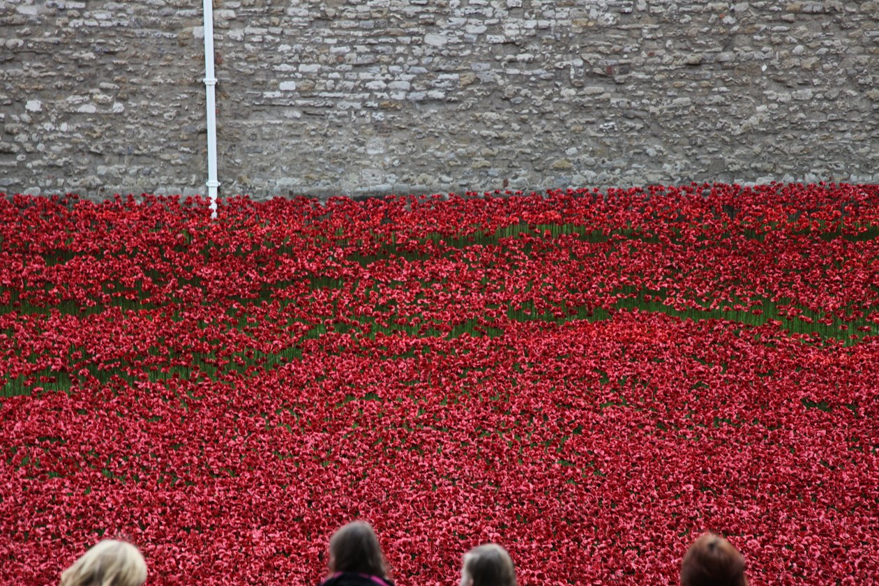 Blood Swept Lands and Seas of Red, Tower of London, 2014. alkotó: Sheldon Marshall