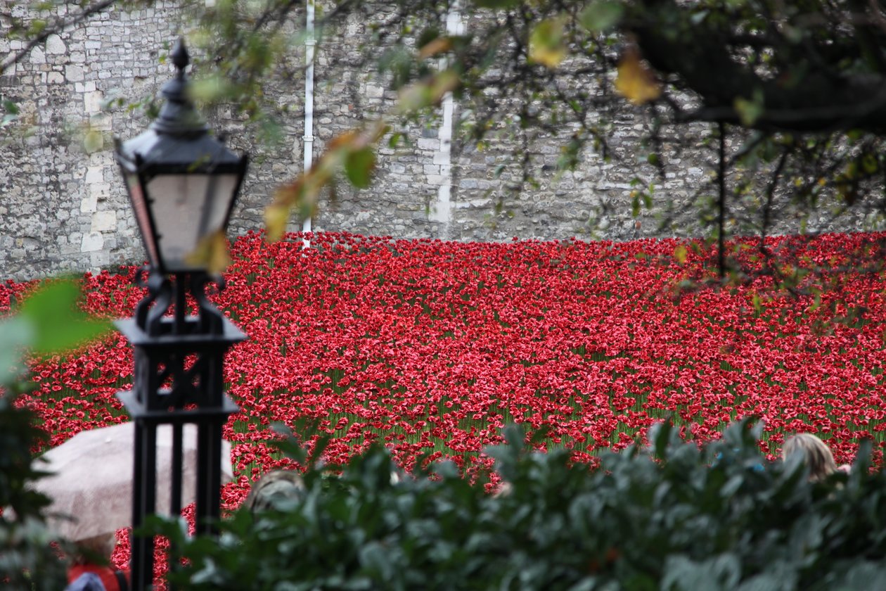 Blood Swept Lands and Seas of Red, Tower of London, 2014. alkotó: Sheldon Marshall