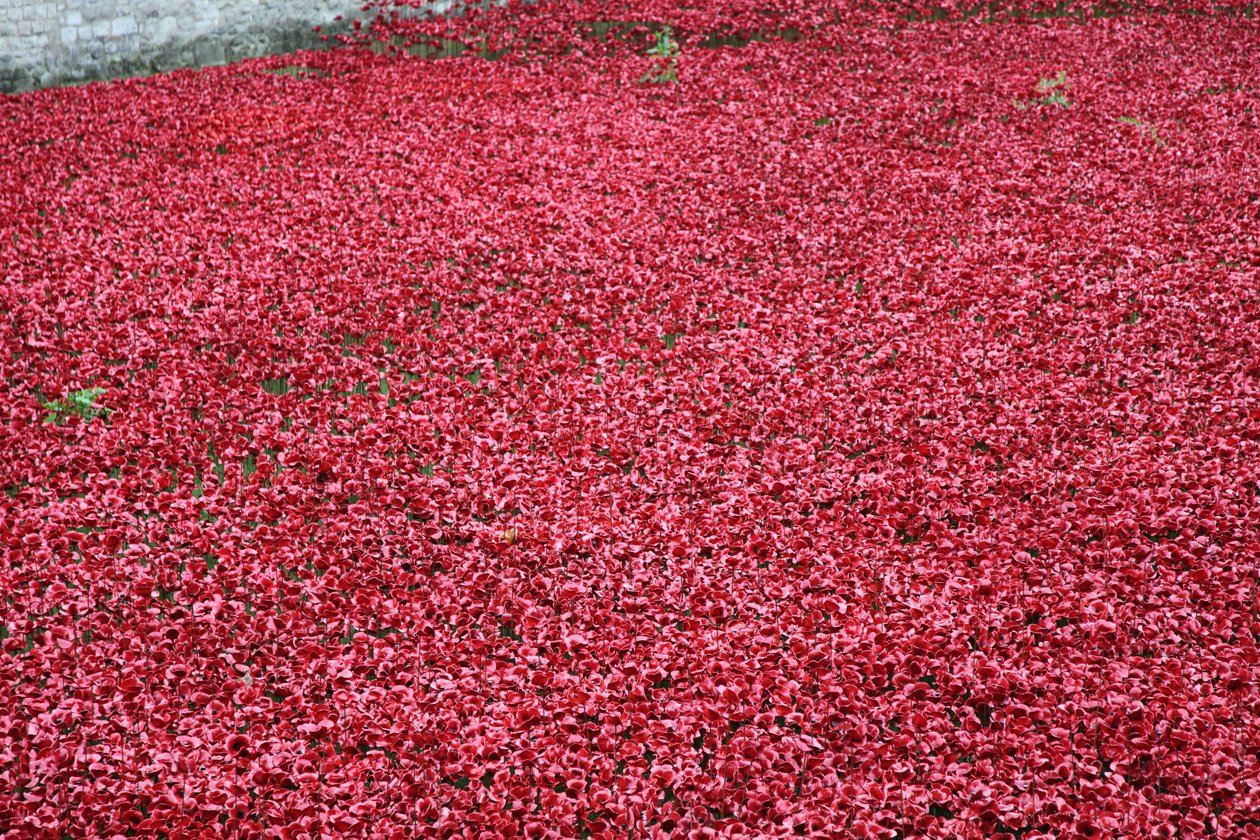 Blood Swept Lands and Seas of Red, Tower of London, 2014. alkotó: Sheldon Marshall