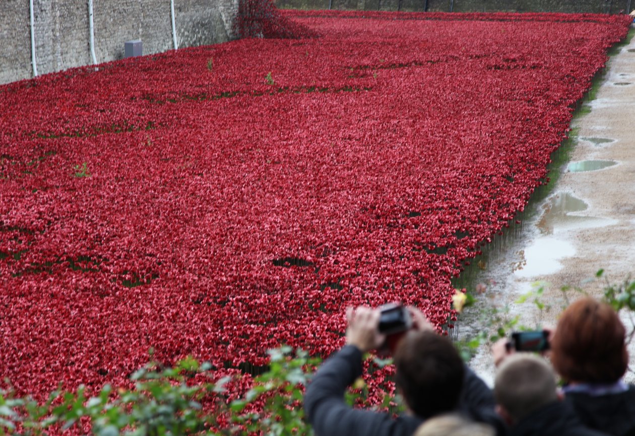 Blood Swept Lands and Seas of Red, Tower of London, 2014. alkotó: Sheldon Marshall