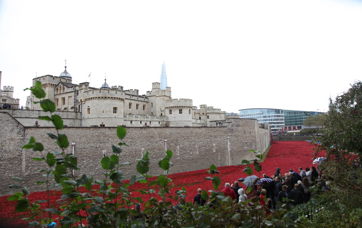Blood Swept Lands and Seas of Red, Tower of London, 2014. alkotó: Sheldon Marshall