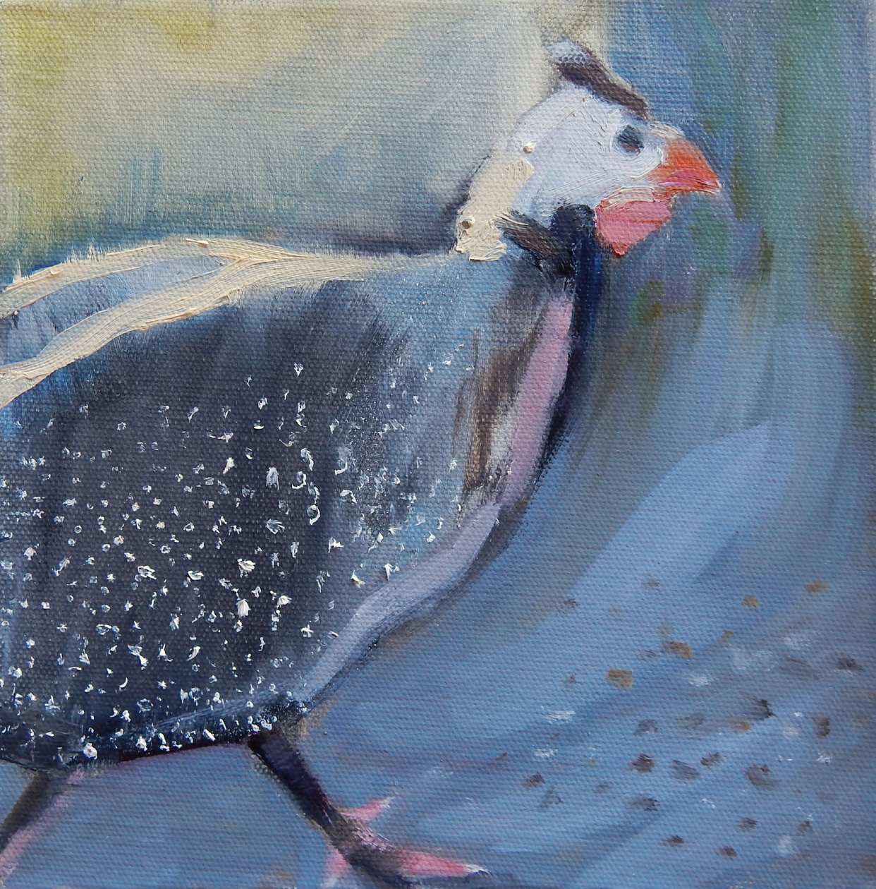Gyöngytyúk négyes, 2014 alkotó: Sheri Gee
