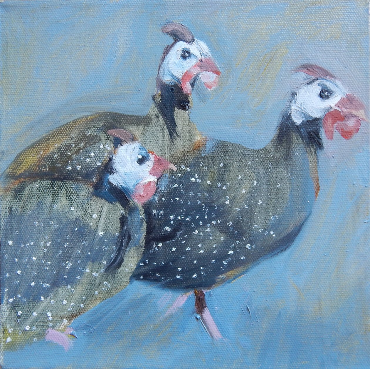 Gyöngytyúk egy, 2014 alkotó: Sheri Gee