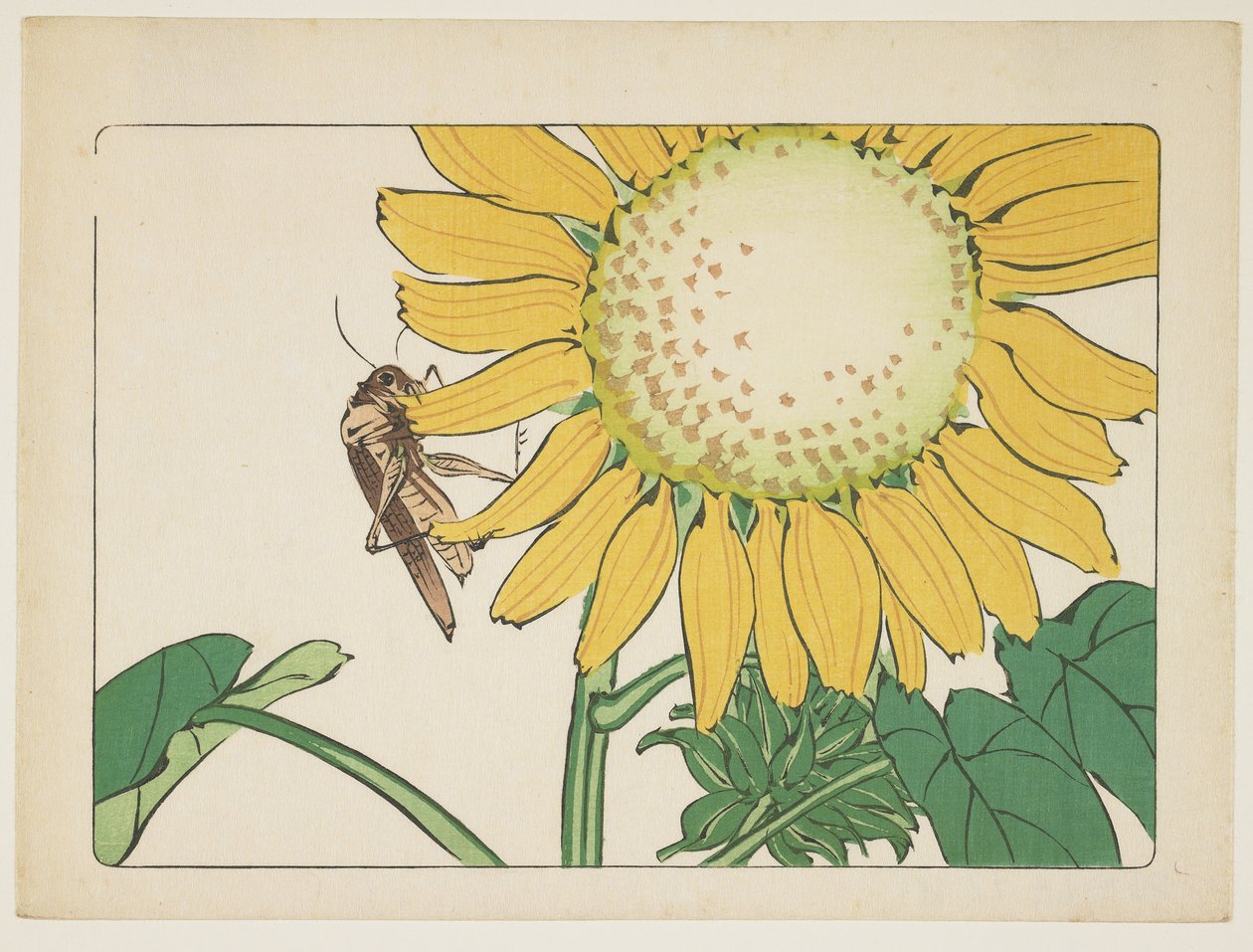 (Szöcske és napraforgó), c. 1877 alkotó: Shibata Zeshin