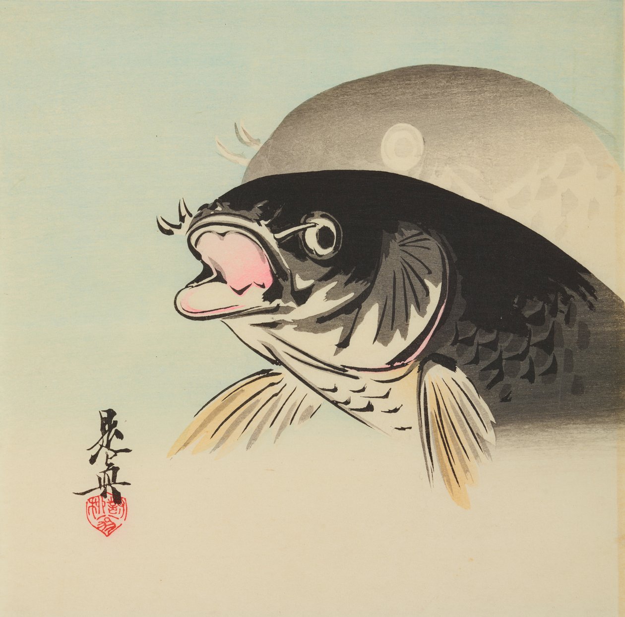 Két hal alkotó: Shibata Zeshin