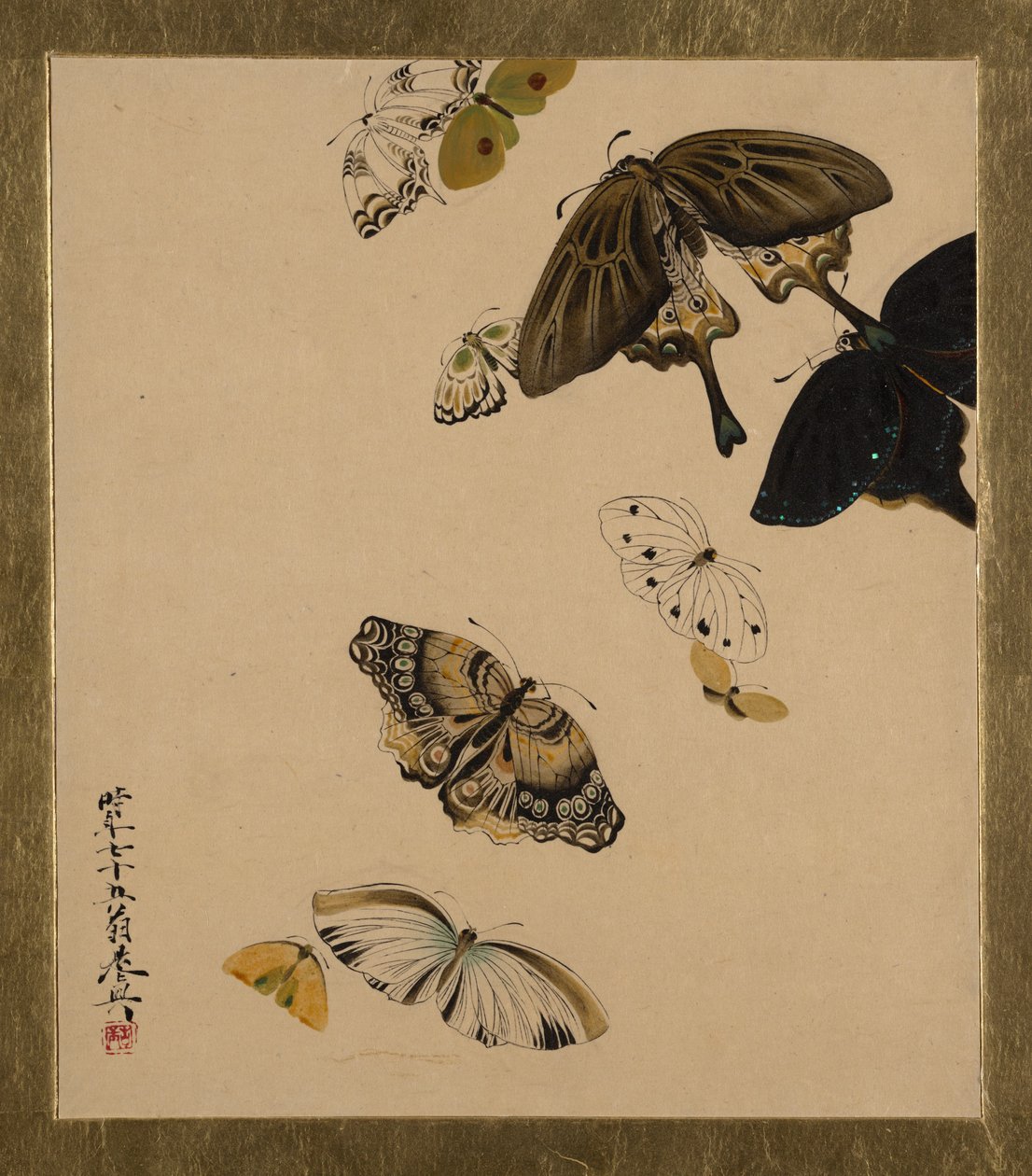 Különféle témájú lakkfestmények: Pillangók, 1881-ben. alkotó: Shibata Zeshin