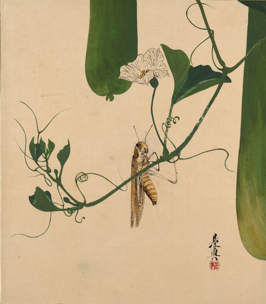 Különféle témájú lakkfestmények: Szöcske a tök szőlőn, 1882. alkotó: Shibata Zeshin