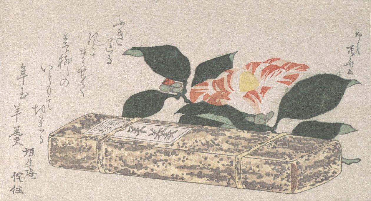 Camellia Flower és Yokan egyfajta babzselé, bambuszbőrbe csomagolva, 1811, 1811. alkotó: Shinsai