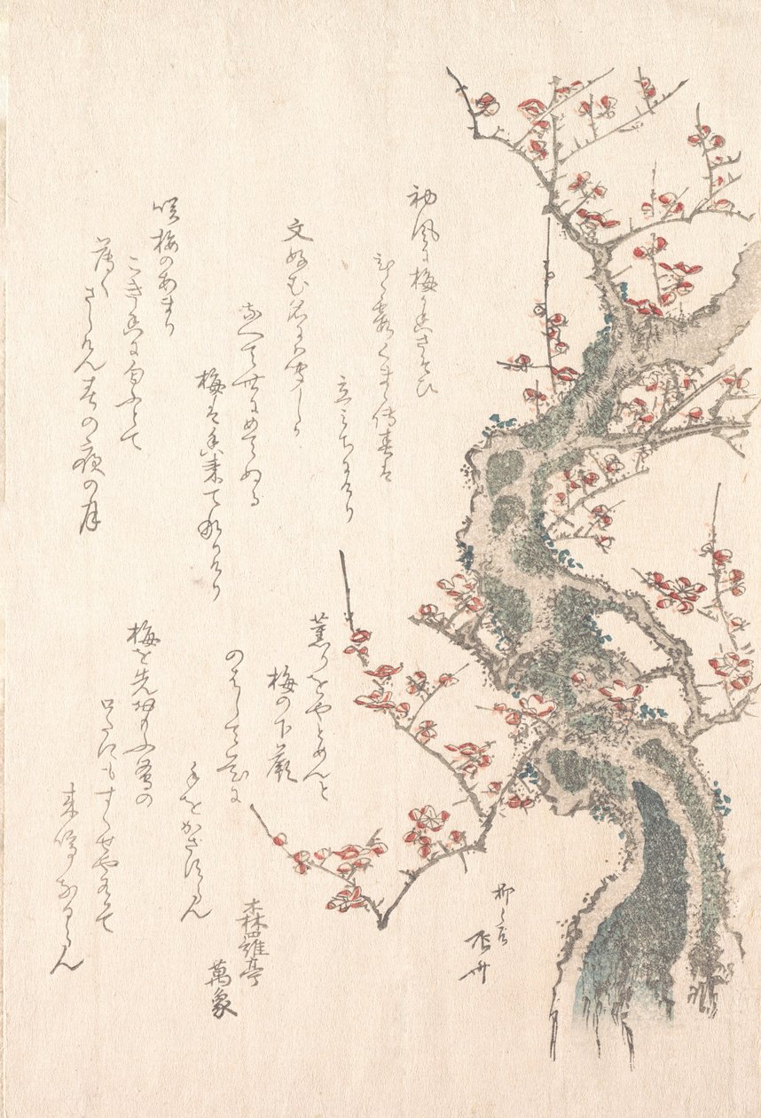 Tavaszi esőkollekció Harusame shu, vol. 1: Virágzó szilvafa, kb. 1805-10., kb. 1805-10. alkotó: Shinsai
