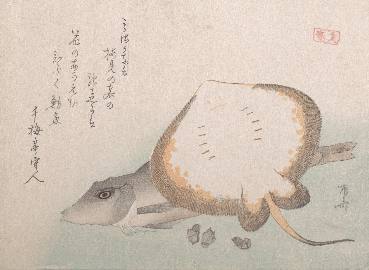 Stingray és Gurnard, valószínűleg 1815., valószínűleg 1815. alkotó: Shinsai