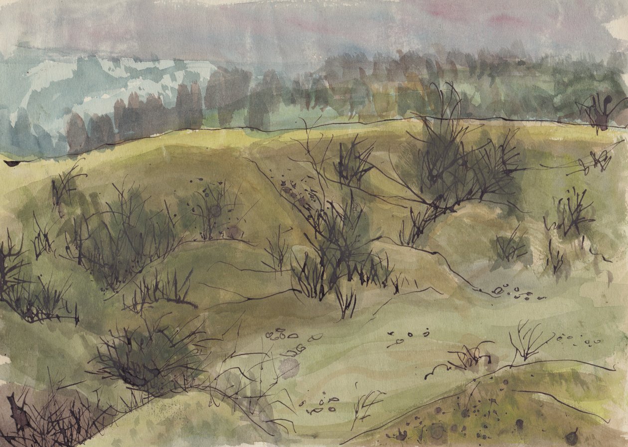 Táj bokrokkal, Olaszország, c1950. alkotó: Shirley Markham