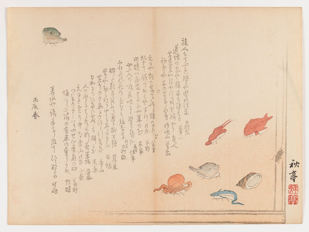 Különféle halak, 1855 tavasz (fatömbnyomat, Chûban yoko-e formátum) alkotó: Shûtei Tanaka