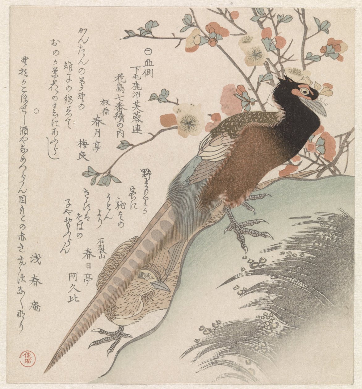 Fácán virágágnak Hét kép madárról és virágról a Fuyôren Poetry Society of Kanuma számára Shimotsuke tartományból (sorozat címe) Yamagawa Shimotsuke Kanuma Fuyôren kachô shichiban tsuzuki no uchi (sorozat címe a tárgyon) alkotó: Shunman