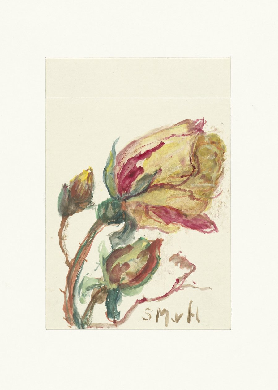 Roos alkotó: Sientje Mesdag van Houten